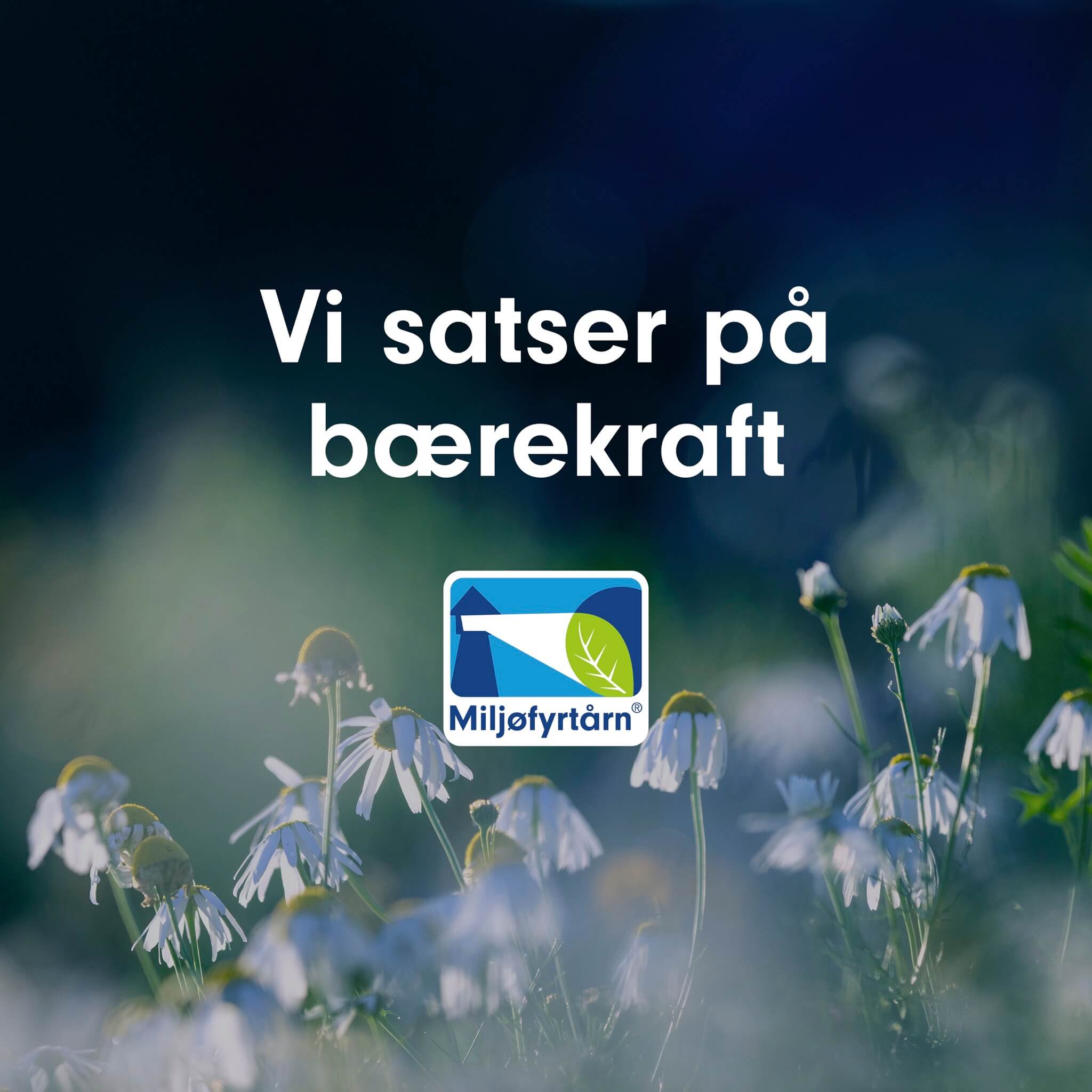 Vi satser på bærekraft. En forpliktelse både solidarisk og økonomisk.